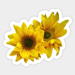 Sunflower Couple Arm in Arm Sticker